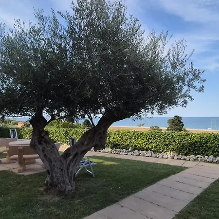 Falipe 4* Пинето