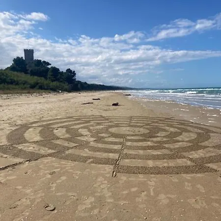 Falipe 4* Пинето