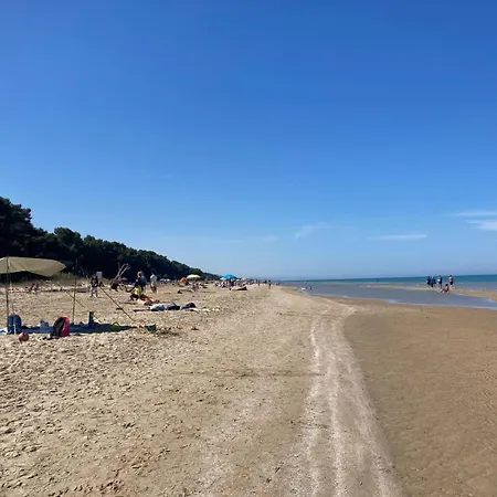 Falipe Гостевой дом Пинето