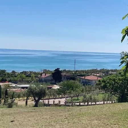 Falipe * Pineto