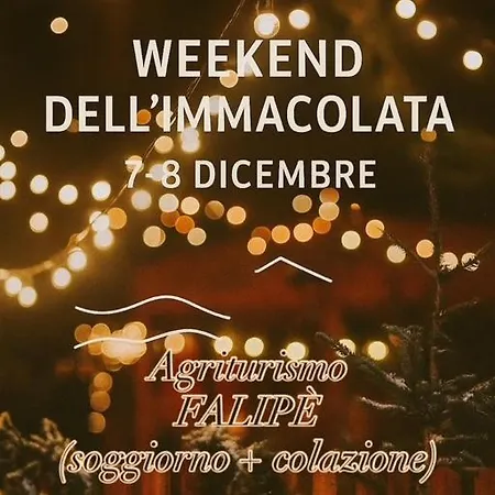 Гостевой дом Falipe 4*