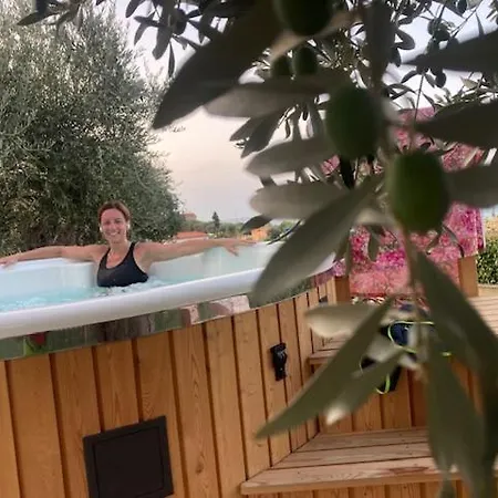 Falipe Гостевой дом 4*