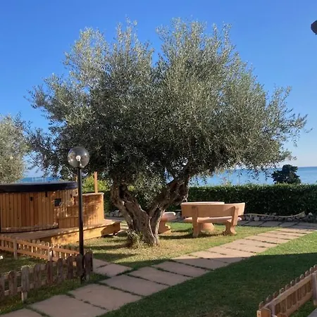 Falipe 4* Пинето