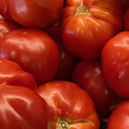 Гостевой дом Falipe Пинето