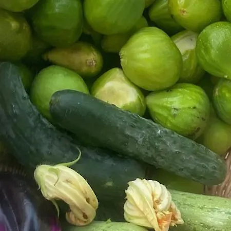 Гостевой дом Falipe 4*