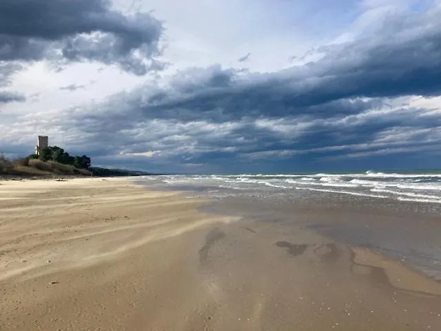 Falipe Pensionat Pineto