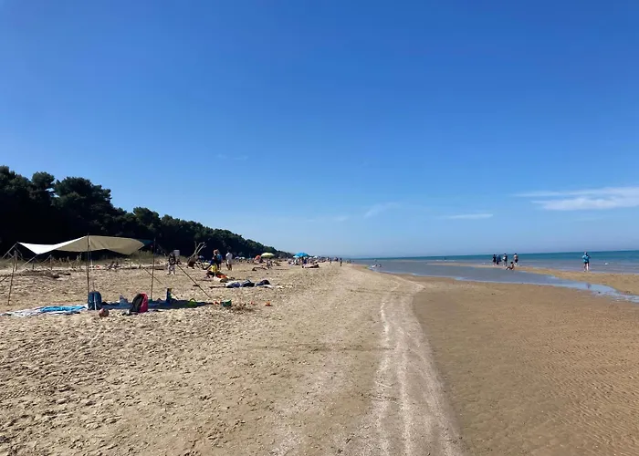 Falipe Pensionat Pineto