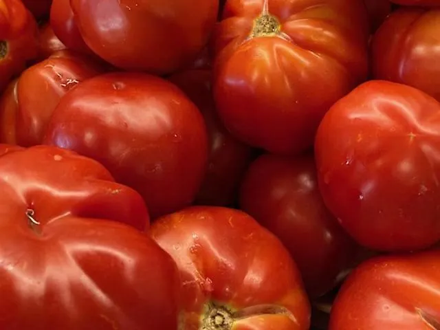 Pensionat Falipe Pineto