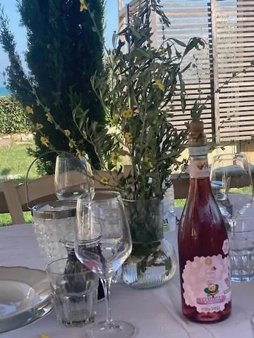 Pensionat Falipe Pineto