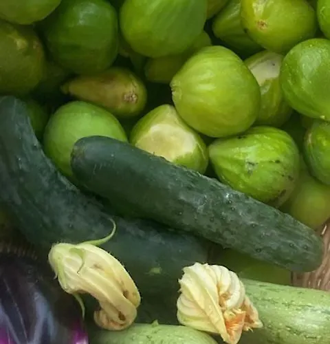 بيت ضيافة Falipe 4*